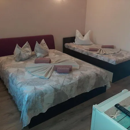 Проживание в семье Casaadriana